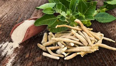 Ashwagandha